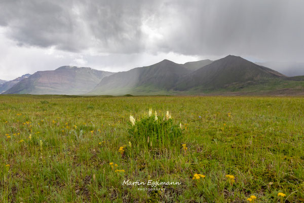 Canada - Alberta - Waterton Park