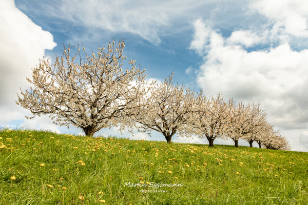 Switzerland - Baselland