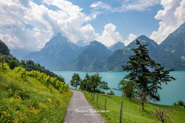 Switzerland - Lake Lucern near Sisikon