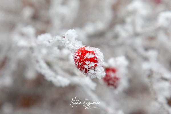 Switzerland - Baselland