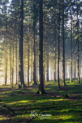 Switzerland - Aargau