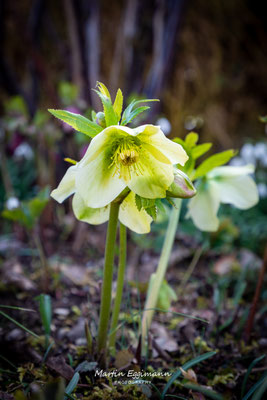 Switzerland - Aargau