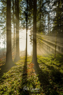 Switzerland - Aargau