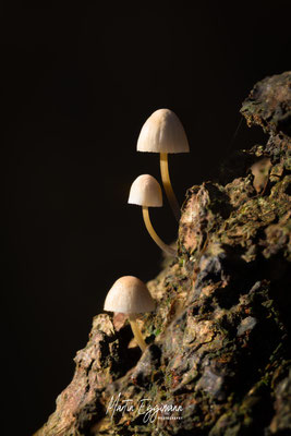 Switzerland - Aargau