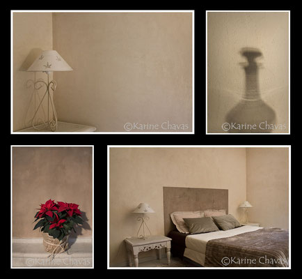 Photos réalisées pour la société Gaïa Peinture et Décoration :http://www.gaiapeintures.fr/