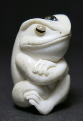 Frog meditating