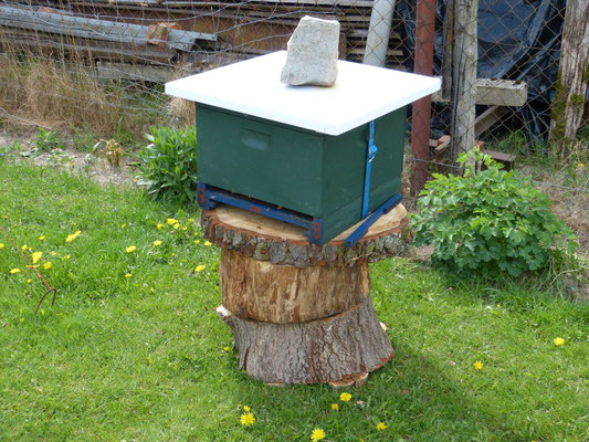 Auch dieser Bienenstock wurde mit einfachen Mitteln etwas höher gestellt.