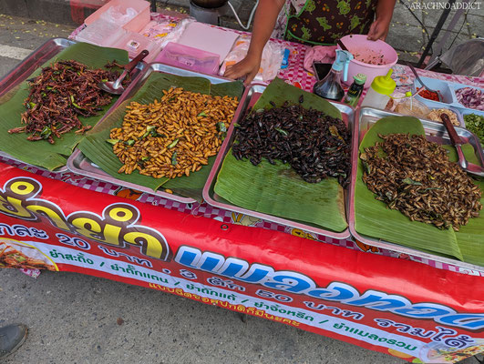 Snack-Insekten auf dem Markt (Heimchen und Heuschrecken waren lecker, die Grillen etwas trocken :D)