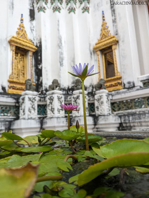 Wat Pho