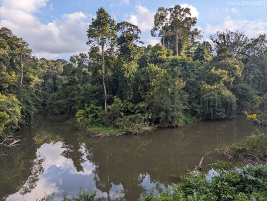 Khao Yai NP