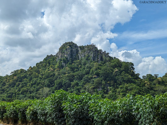 Khao Yai Nationalpark