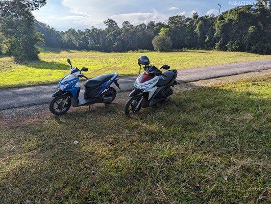 unsere Honda Mietroller (Meine Honda NC750X Zuhause ist mir aber immer noch am Liebsten :P)