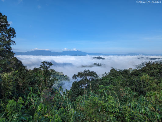 Kaeng Krachan Nationalpark ("Sea of Mist")