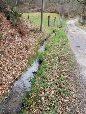 cours d'eau dévié de son lit naturel