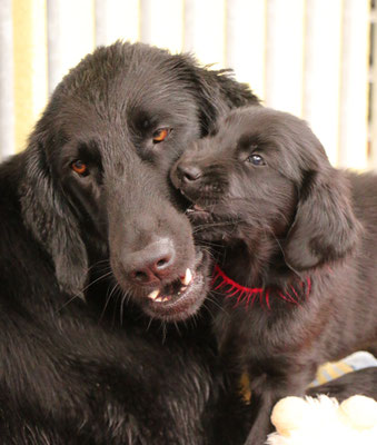 Herr rot mit Tante Oshina