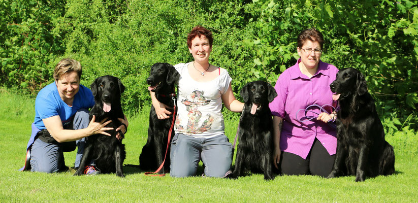 Fiona mit Meo, Caro mit Daley und Anjuk, Sandy mit Gin