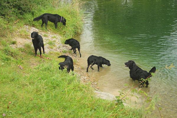 Flats und Wasser :-)