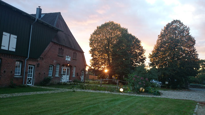 der Garten in Richtung Westen am späten Abend