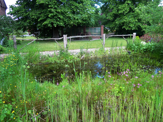 Einer von 2 Gartenteichen