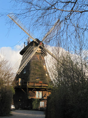 Windmühle in Malente