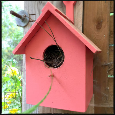 04/2016 - Nestbau Anfang April | nest-building in the beginning of april