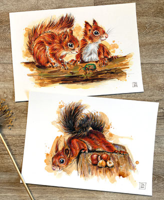 handmade watercolor watercolour painting drawing sketch Eurasian red black squirrel Sciurus vulgaris | Aquarell Zeichnung Gemälde Skizze Eichhörnchen rot schwarz no print | Sandra Mahn