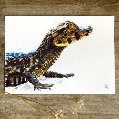 handmade watercolor watercolour painting drawing sketch portrait Cuvier's dwarf caiman Paleosuchus palpebrosus crocodile | Aquarell Zeichnung Gemälde Skizze Glattstirnkaiman Kaiman Krokodil no print | Sandra Mahn