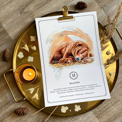 perpetual watercolor watercolour painting art Quiz Advent calendar | Ewiger Aquarell Kunst Kunstkalender Kalender Adventskalender | Sandra Mahn
