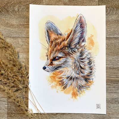 handmade watercolor watercolour painting drawing sketch portrait fennec fox Vulpes zerda | Aquarell Zeichnung Gemälde Skizze Wüstenfuchs Fuchs Fennek no print | Sandra Mahn