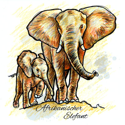 Elefanten | Original-Farben