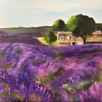 Lavendelfeld mit Haus B80x H80xT4cm, Acryl auf LW