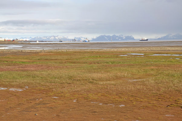 Moor fields east from Longyearbyen. 