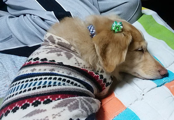 おやすみなさい