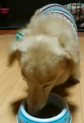 ご飯の時間