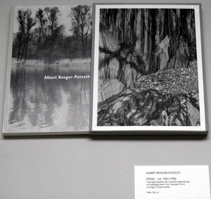 Albert Renger-Patzsch