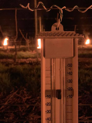 Contrôle des températures pendant une nuit de gel