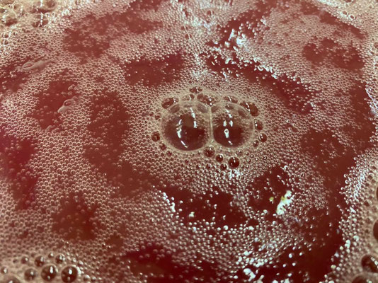 La magie de la fermentation