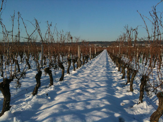 Transformation du paysage après quelques flocons
