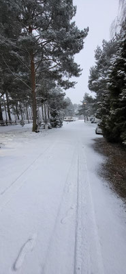 Winterausicht