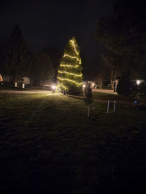 Weihnachtszeit