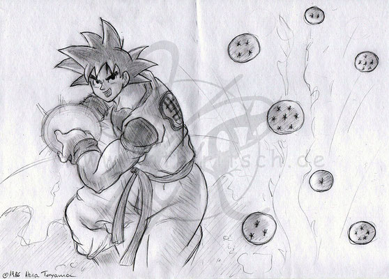 Wächter der Dragonballs
