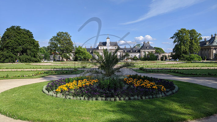 Schlosspark Pillnitz