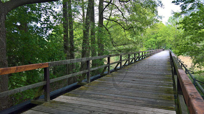 Waldbrücke