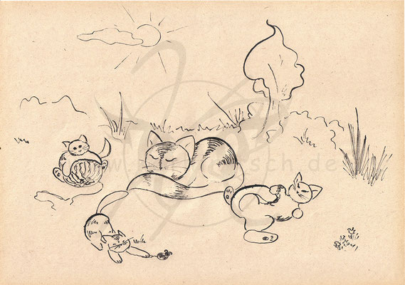 Kittens