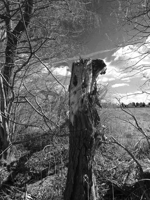 Gefangene Seele
