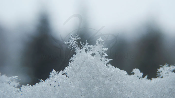 Eisflöckchen