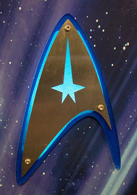 stern star trek LE