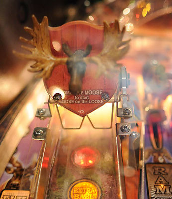 big buck hunter ©planetejeux.com
