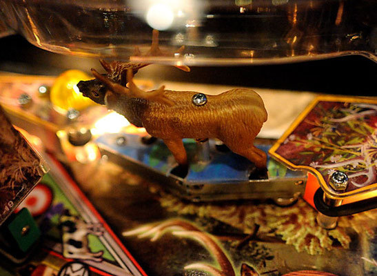 big buck hunter ©planetejeux.com