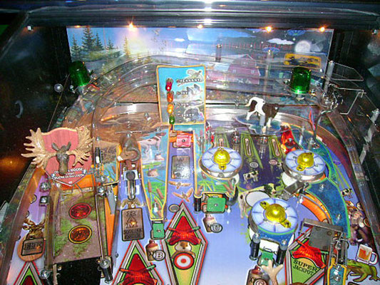 big buck hunter ©planetejeux.com